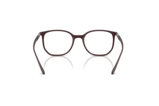 [glasses-back-view] Ray-Ban RX7397 (8088)