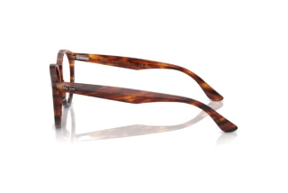 Изглед отстрани Ray-Ban LARRY (RX7680V - 2144)