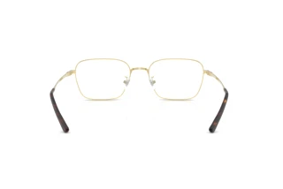 [glasses-back-view] Ray-Ban RX8784D (1251)