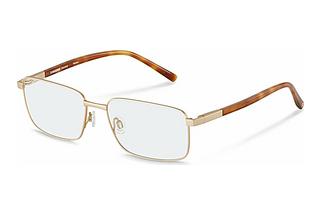 Rodenstock R7130 B000 gold, light havana