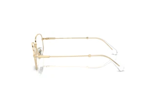 [glasses-side-view] Swarovski SK1005 (4013)