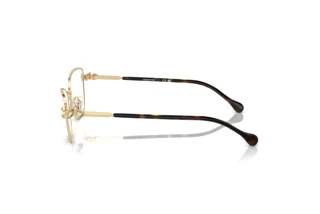 [glasses-side-view] Swarovski SK1006 (4028)