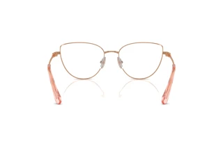 [glasses-back-view] Swarovski SK1007 (4014)