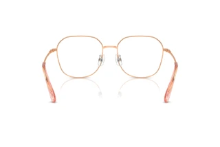 Vista posterior Swarovski SK1009D (4014)