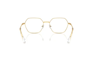 [glasses-back-view] Swarovski SK1011 (4004)