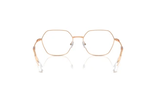 [glasses-back-view] Swarovski SK1011 (4014)