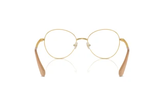 [glasses-back-view] Swarovski SK1013 (4004)