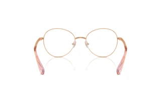 [glasses-back-view] Swarovski SK1013 (4014)