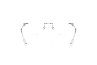 [glasses-back-view] Swarovski SK1014 (4001)