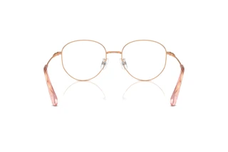 [glasses-back-view] Swarovski SK1016D (4014)