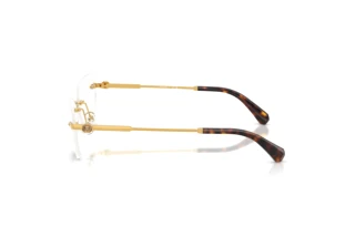 [glasses-side-view] Swarovski SK1031 (4007)