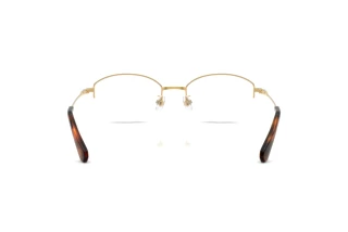 [glasses-back-view] Swarovski SK1039D (4004)