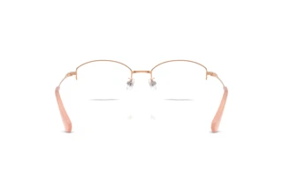 [glasses-back-view] Swarovski SK1039D (4014)