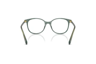[glasses-back-view] Swarovski SK2002 (1043)