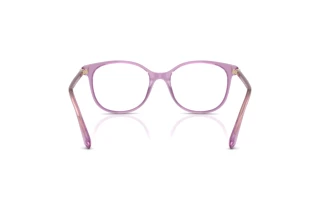 [glasses-back-view] Swarovski SK2002 (1096)