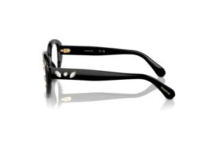 [glasses-side-view] Swarovski SK2006 (1001)