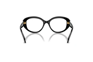 [glasses-back-view] Swarovski SK2006 (1001)