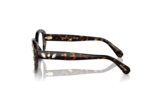 [glasses-side-view] Swarovski SK2006 (1002)