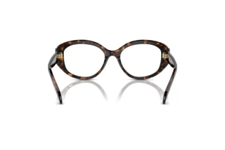 [glasses-back-view] Swarovski SK2006 (1002)