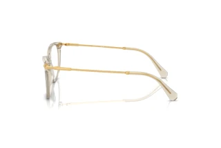 [glasses-side-view] Swarovski SK2010 (3003)