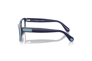 Vista lateral Swarovski SK2013 (1018)