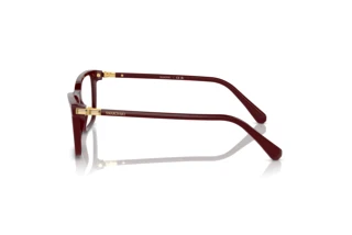 [glasses-side-view] Swarovski SK2015 (1008)