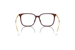 [glasses-back-view] Swarovski SK2016D (1008)