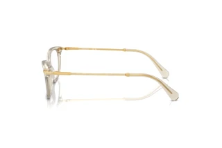 [glasses-side-view] Swarovski SK2017 (3003)