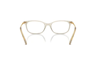 [glasses-back-view] Swarovski SK2017 (3003)