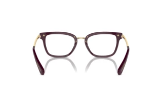 Vista posterior Swarovski SK2018 (1044)