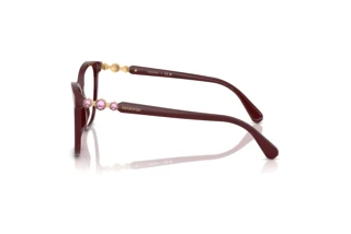 [glasses-side-view] Swarovski SK2020 (1008)