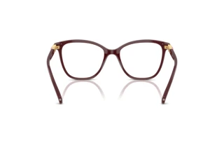 [glasses-back-view] Swarovski SK2020 (1008)