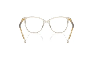 Vista posterior Swarovski SK2020 (3003)