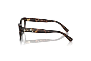 [glasses-side-view] Swarovski SK2022 (1002)