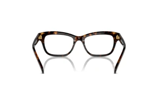 [glasses-back-view] Swarovski SK2022 (1002)