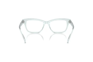 Vista posterior Swarovski SK2022 (1024)