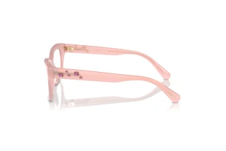 [glasses-side-view] Swarovski SK2022 (1031)