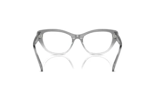 Vy bakifrån Swarovski SK2023 (1046)