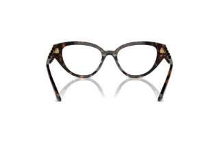 [glasses-back-view] Swarovski SK2024 (1002)