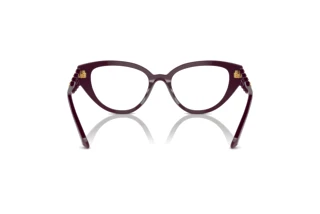 [glasses-back-view] Swarovski SK2024 (1044)