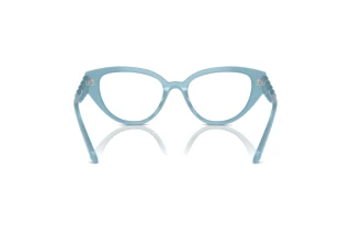 Πίσω όψη Swarovski SK2024 (2004)