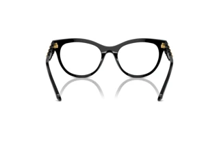 Vista posterior Swarovski SK2025 (1001)