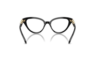 Πίσω όψη Swarovski SK2028 (1001)