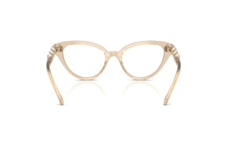 [glasses-back-view] Swarovski SK2028 (1066)