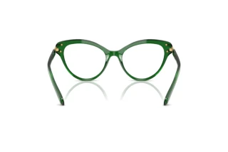 [glasses-back-view] Swarovski SK2030 (1064)
