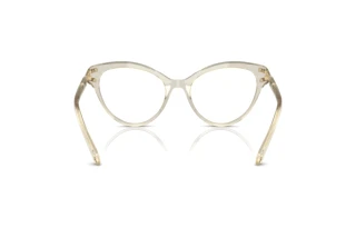 Πίσω όψη Swarovski SK2030 (3003)