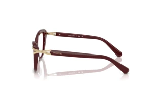 [glasses-side-view] Swarovski SK2031 (1008)