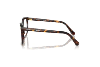 [glasses-side-view] Swarovski SK2033 (1002)