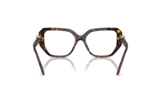 Vista posterior Swarovski SK2035 (1002)