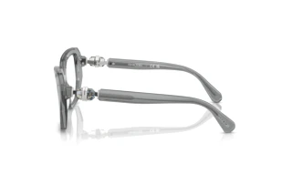 [glasses-side-view] Swarovski SK2035 (1062)
